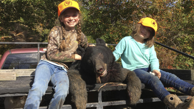 Mountain Bear Season