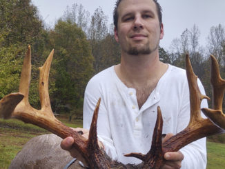 12-point buck