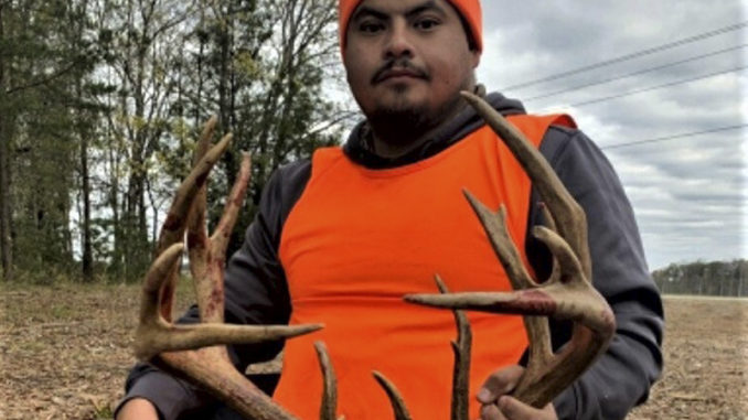 16-point buck