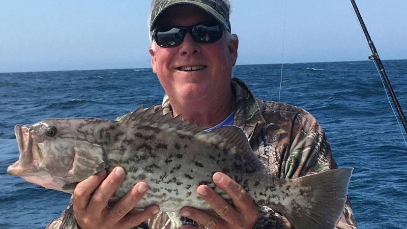 grouper