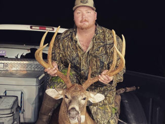 swamp buck