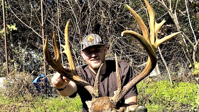 14-point buck