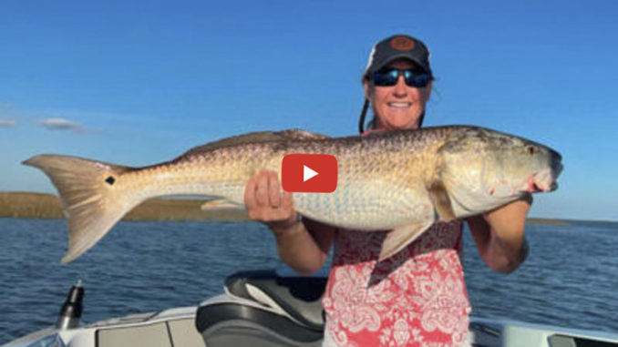 first redfish