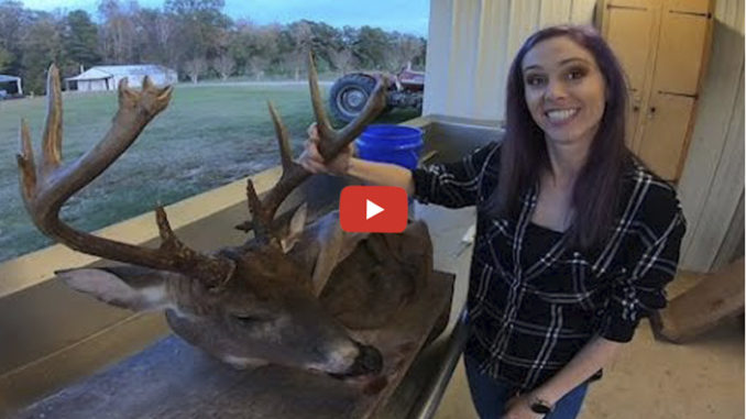 11-point monster