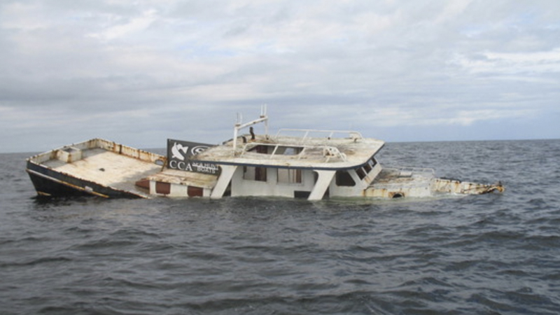 artificial reef