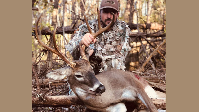 Brown Summit buck