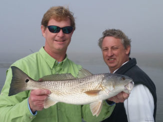 redfish