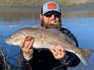redfish