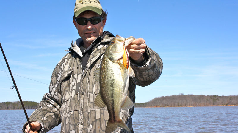bass