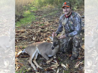 Union County buck