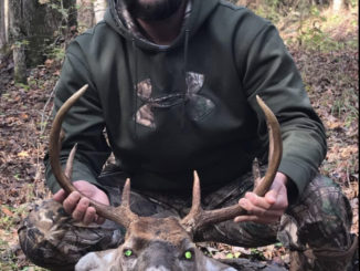8-point beast