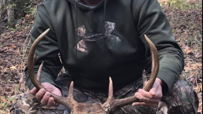 8-point beast