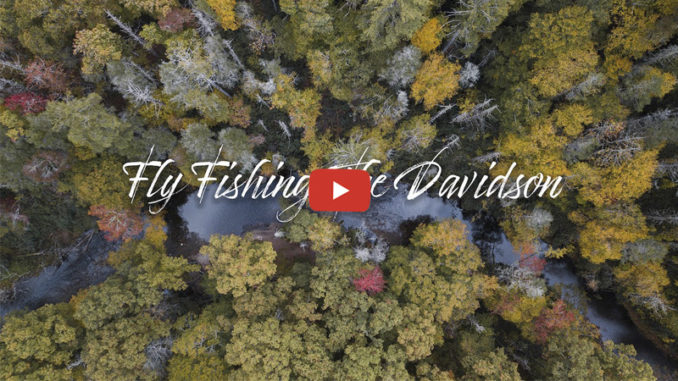 Davidson River