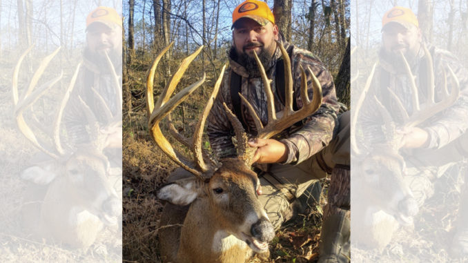 Rockingham County buck