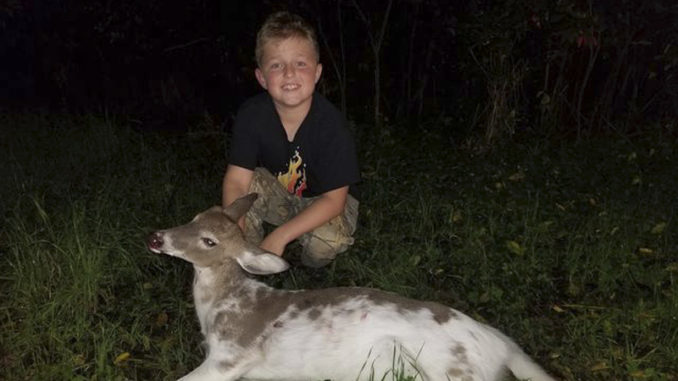piebald deer