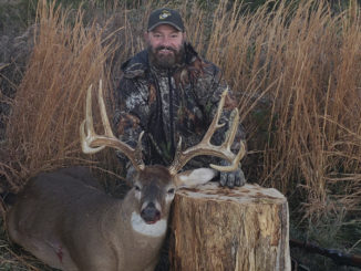 huge Rockingham County buck