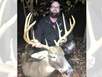 trophy buck