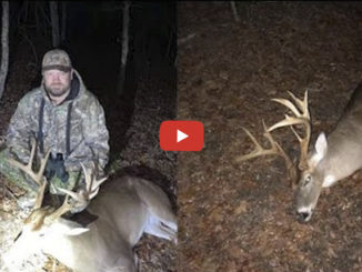 Lancaster County buck