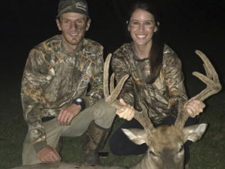 velvet buck