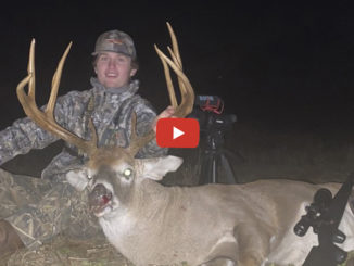 Rockingham County buck