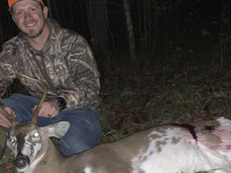 piebald buck