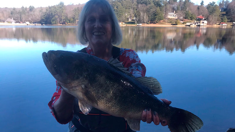 Photo of the Week: Tricia Smith's GIANT Alleghany County bass