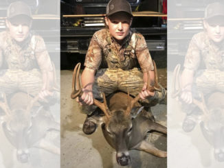 8-point buck