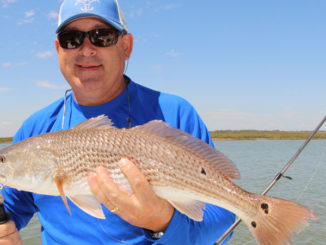 redfish