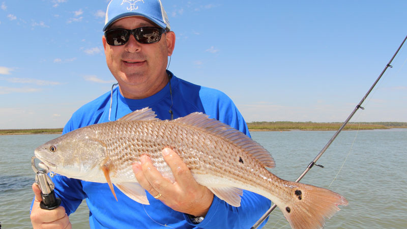 redfish