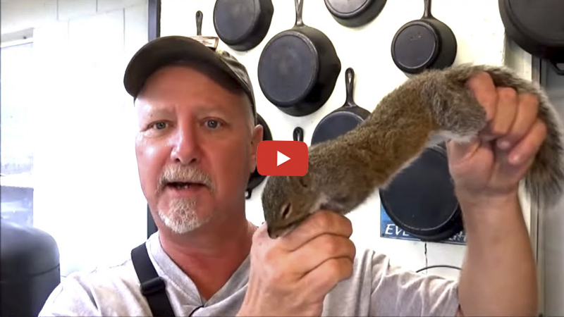 How to clean and cook a squirrel - Carolina Sportsman
