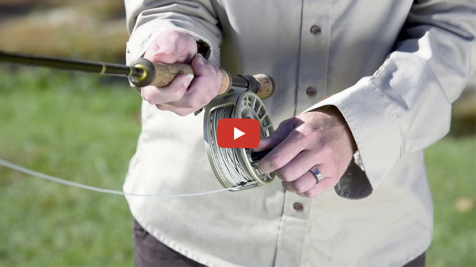 fly casting