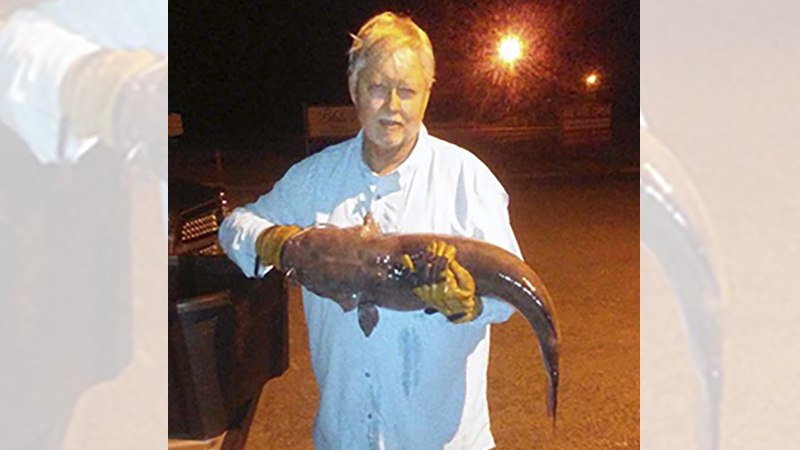 channel catfish
