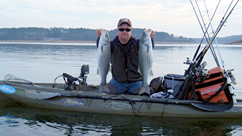 striped bass