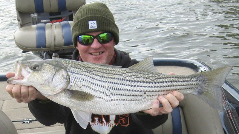 stripers