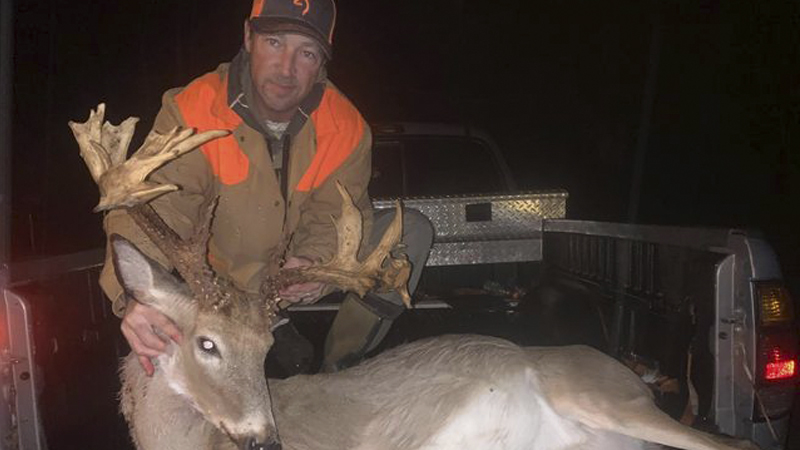 31-point buck