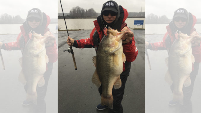 bass