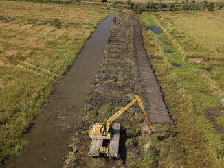 wetland restoration