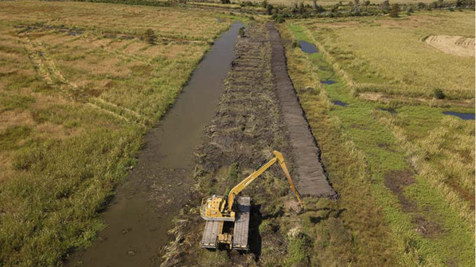 wetland restoration