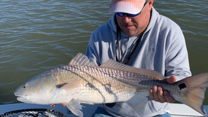 redfish