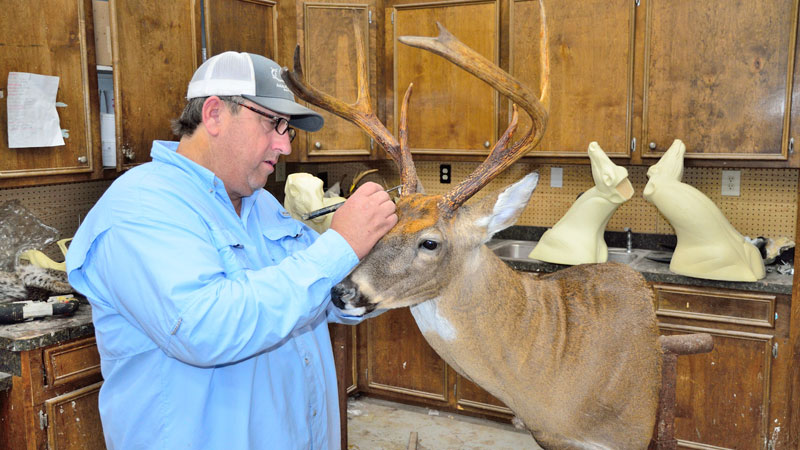 taxidermist
