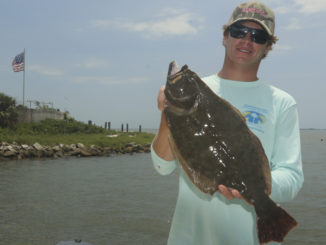 flounder