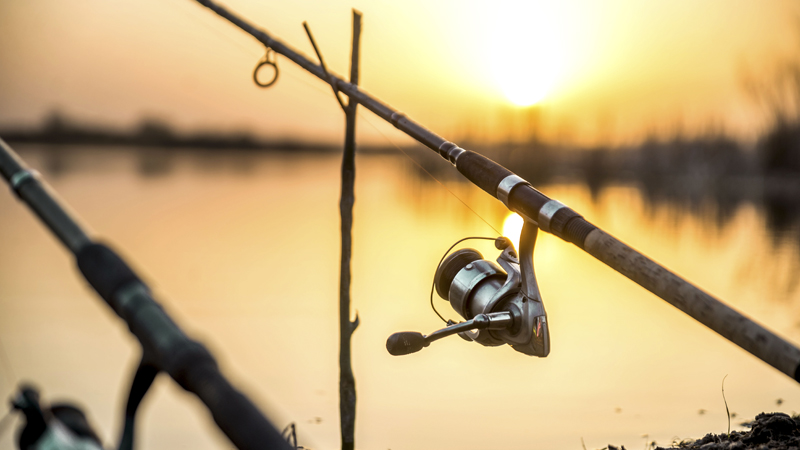 fishing workshops