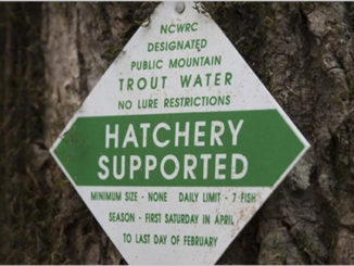 hatchery