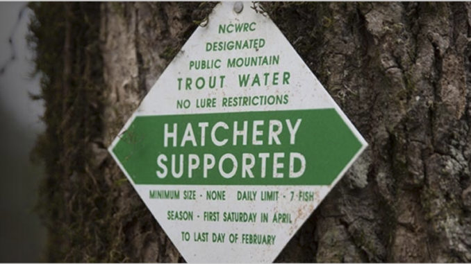 hatchery
