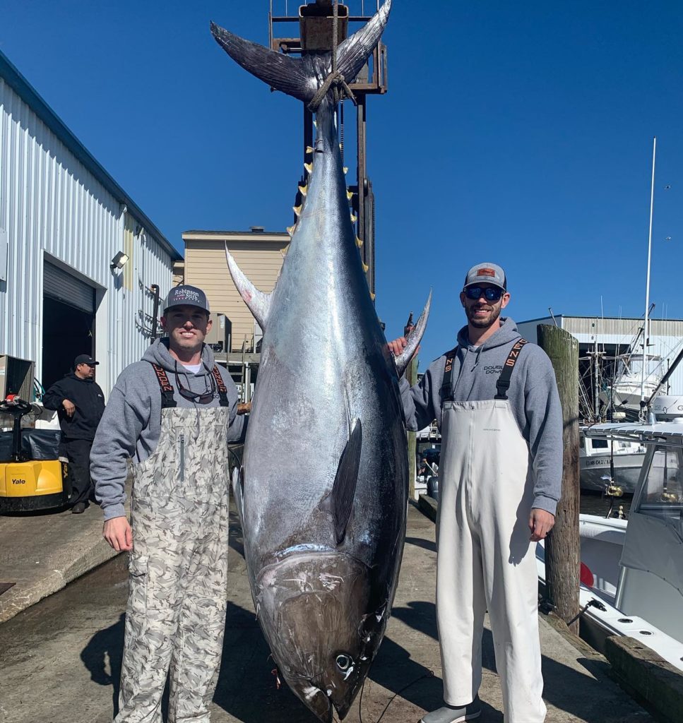 Offshore fishing report: giant bluefin tuna - Carolina Sportsman