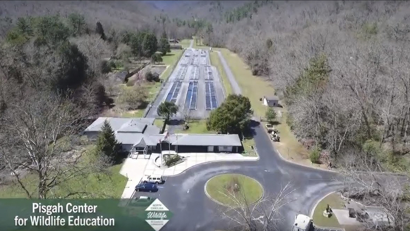 Pisgah Center