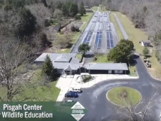 Pisgah Center