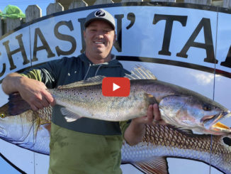 10.25-pound speckled trout