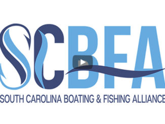 boating and fishing alliance