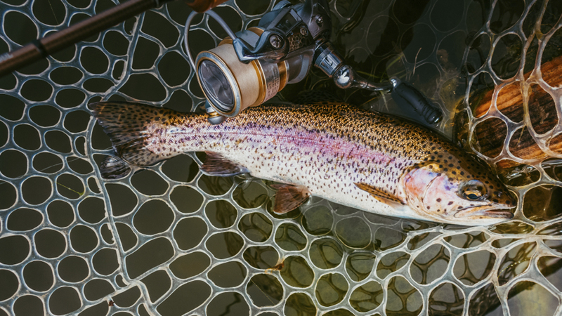 Hatchery Supported Trout Waters